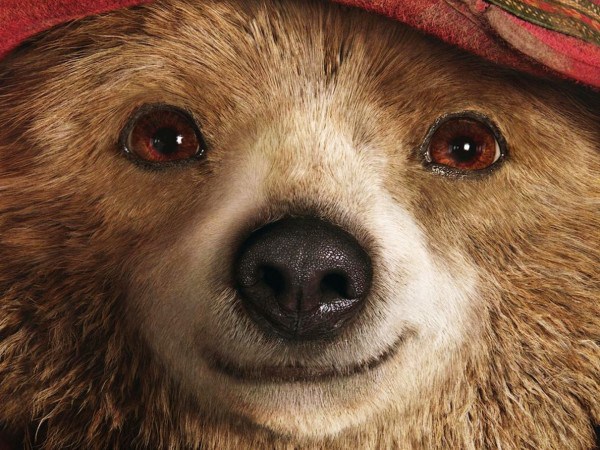 paddington-bear-the-film